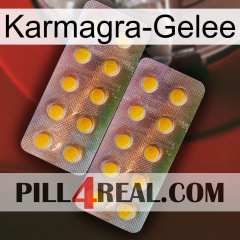 Karmagra Jelly new10